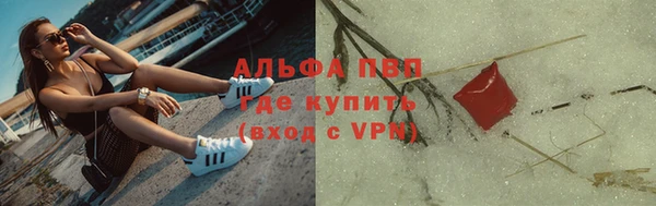 шишки Богородицк