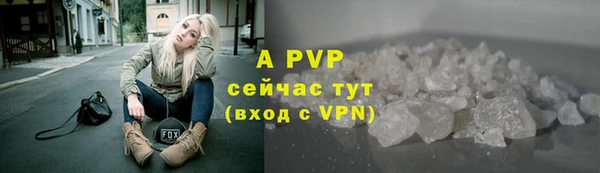 шишки Богородицк