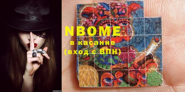 шишки Богородицк