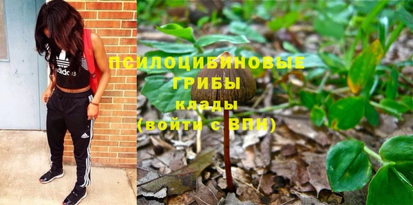 стафф Приозерск