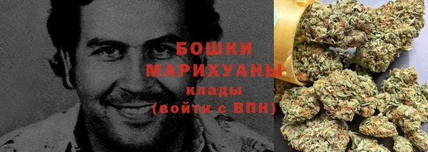 шишки Богородицк