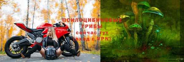 амф Бородино