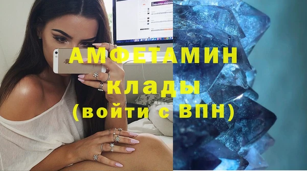 амф Бородино