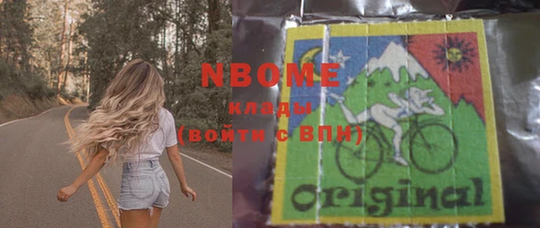 шишки Богородицк