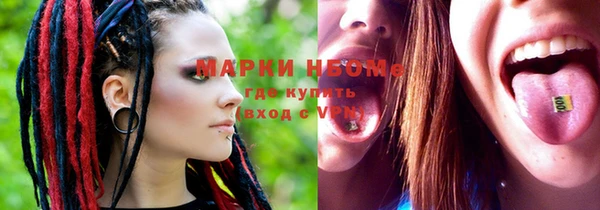 шишки Богородицк