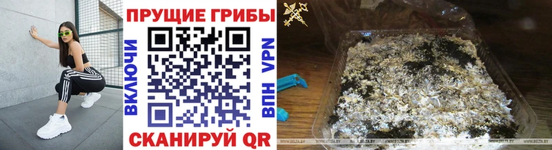 Псилоцибиновые грибы мицелий где найти наркотики Михайлов